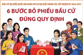 Bầu cử Quốc hội và HĐND: 6 bước bỏ phiếu bầu cử đúng quy định