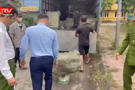 Kiểm tra xe tải, phát hiện 600kg nầm lợn “có vấn đề”