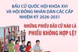Bầu cử Quốc hội và HĐND: Những phiếu bầu cử nào là phiếu không hợp lệ?