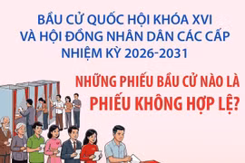 Bầu cử Quốc hội và HĐND: Những phiếu bầu cử nào là phiếu không hợp lệ?
