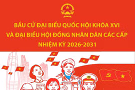 Số lượng đại biểu được bầu trong Quốc hội khóa XVI và HĐND các cấp nhiệm kỳ 2026-2031