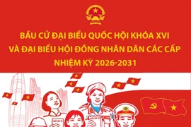 Số lượng đại biểu được bầu trong Quốc hội khóa XVI và HĐND các cấp nhiệm kỳ 2026-2031