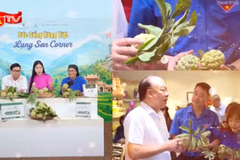 Kết nối thị trường, mở rộng đầu ra cho nông sản Việt