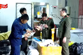 Cận cảnh các kho đông lạnh chứa thực phẩm quá hạn, không nguồn gốc