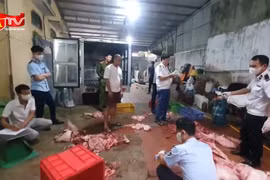 Cận cảnh cơ sở chứa gần 1 tấn thịt nghi nhiễm dịch tả lợn châu Phi 