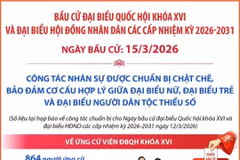 Bầu cử Quốc hội và HĐND các cấp: Công tác nhân sự được chuẩn bị chặt chẽ, bảo đảm cơ cấu theo quy định