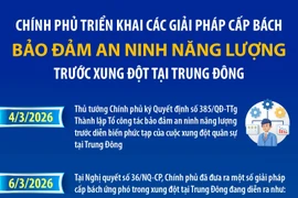 Chính phủ triển khai các giải pháp cấp bách bảo đảm an ninh năng lượng trước xung đột tại Trung Đông