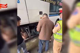 Cận cảnh chặn bắt xe khách vận chuyển hàng loạt cá thể động vật rừng đông lạnh