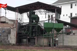 Vì sao một cơ sở sơ chế cà phê bị đình chỉ hơn 4 tháng?