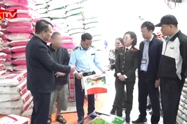 Phát hiện công ty chia gạo từ bao 50kg sang các bao 10kg mang thương hiệu ST25, Sén Cù…