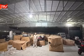 Triệt phá đường dây buôn lậu hơn 500 xe điện ba bánh từ Trung Quốc về Việt Nam