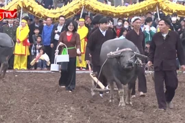 Rộn ràng lễ hội Tịch điền Đọi Sơn, tái hiện nghi lễ vua xuống đồng cày ruộng