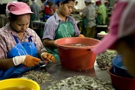 Thái Lan gia hạn làm giấy phép làm việc cho lao động Việt Nam