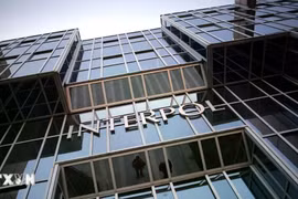 Interpol đánh sập mạng lưới lừa đảo tài chính số thu hồi hơn 4,3 triệu USD