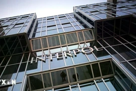 Interpol đánh sập mạng lưới lừa đảo tài chính số thu hồi hơn 4,3 triệu USD