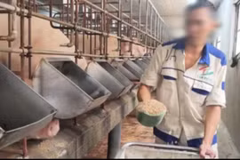 Điểm tựa nhân văn cho ngày trở về