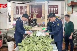 Triệt phá cơ sở sản xuất giò, chả chứa hàn the quy mô lớn