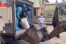 "Chặn" hơn 1 tấn lòng lợn bốc mùi trên đường tuồn ra thị trường