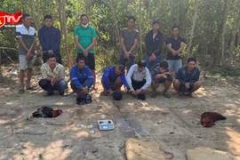 Mạnh tay dẹp nạn đá gà dịp Tết, hàng chục đối tượng sa lưới