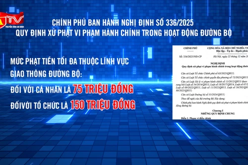 Xe ô tô trên 8 chỗ không dùng để kinh doanh taxi 
