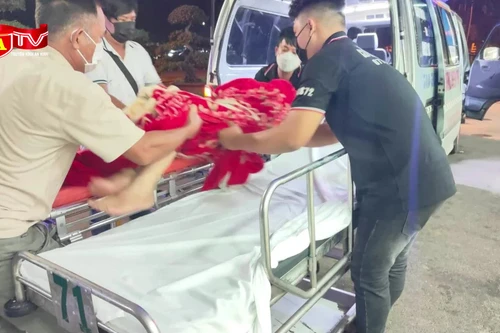 Đưa người bị tai nạn giao thông đi cấp cứu được hỗ trợ đến 5 triệu đồng 