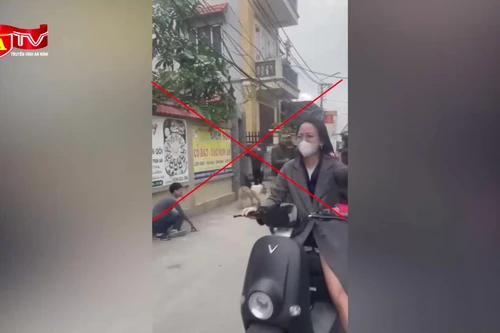 Để chó cắn người, chủ nuôi bị xử lý thế nào? 