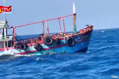 Bắt giữ tàu cá chở trái phép hơn 50.000 lít dầu diesel 