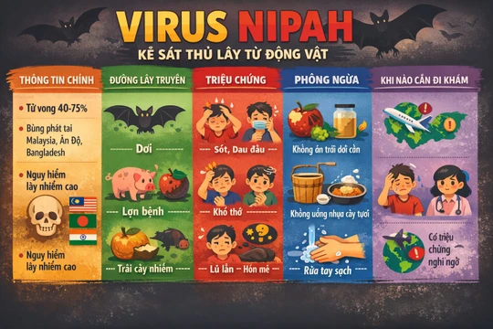 Virus Nipah – “Kẻ sát thủ thầm lặng” từ dơi, lợn và trái cây