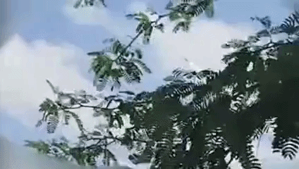 s-2.gif