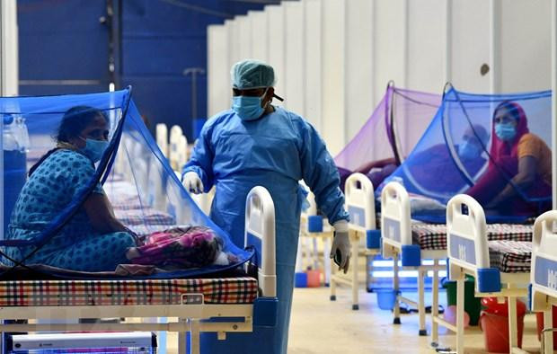 Tình hình Covid-19 tại Ấn Độ đang có dấu hiệu cải thiện