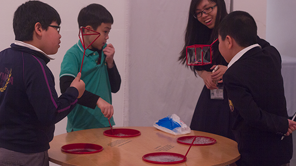 Chạm vào toán học ảnh 7