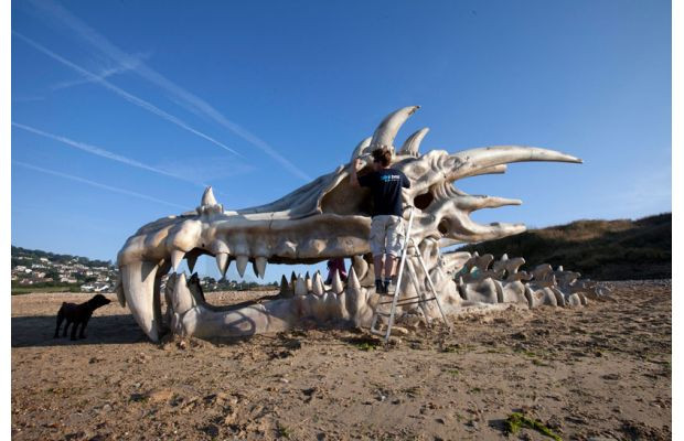 Sọ rồng khổng lồ xuất hiện trên bãi biển ảnh 4