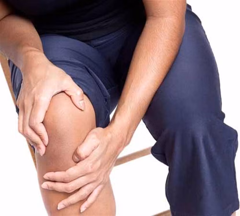 Lá vối giúp ăn ngon, chống gout ảnh 2
