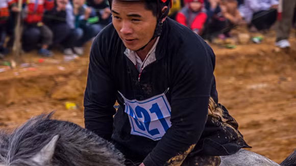 Mãn nhãn xem ngựa đua Bắc Hà sải vó tại Thủ đô ảnh 11