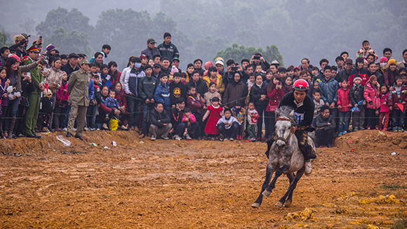 Mãn nhãn xem ngựa đua Bắc Hà sải vó tại Thủ đô ảnh 10