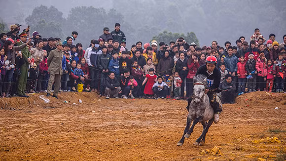 Mãn nhãn xem ngựa đua Bắc Hà sải vó tại Thủ đô ảnh 10