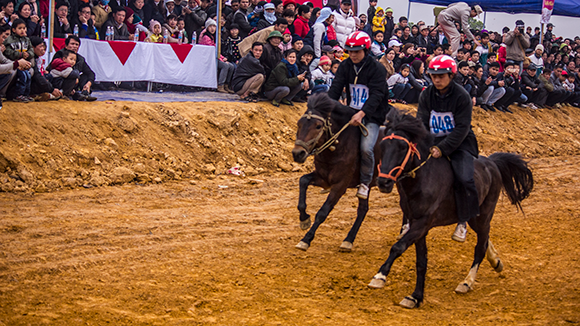 Mãn nhãn xem ngựa đua Bắc Hà sải vó tại Thủ đô ảnh 8