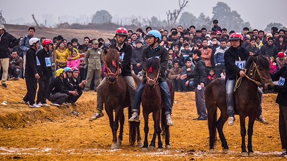 Mãn nhãn xem ngựa đua Bắc Hà sải vó tại Thủ đô ảnh 7