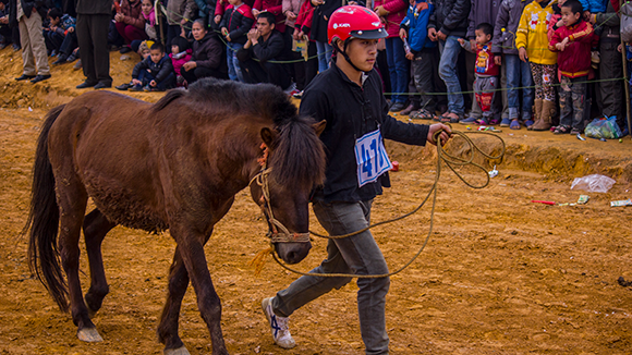 Mãn nhãn xem ngựa đua Bắc Hà sải vó tại Thủ đô ảnh 6
