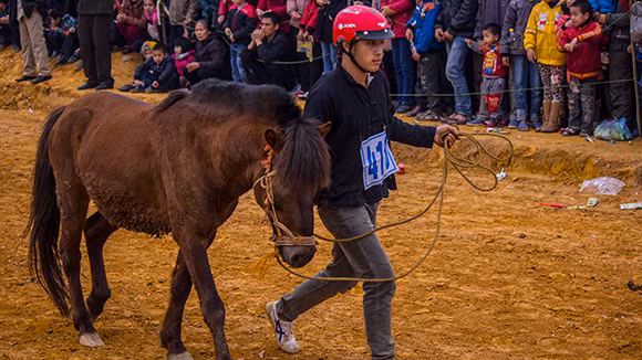Mãn nhãn xem ngựa đua Bắc Hà sải vó tại Thủ đô ảnh 6