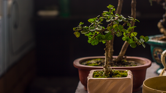 Không khí xưa qua chợ phiên đồ cũ, đổ cổ ảnh 12