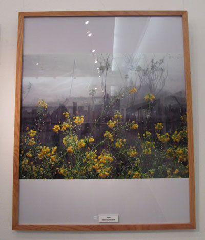 Ấn tượng triển lãm ảnh "Tay Trái" ảnh 3