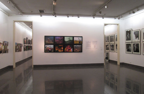 Ấn tượng triển lãm ảnh "Tay Trái" ảnh 1