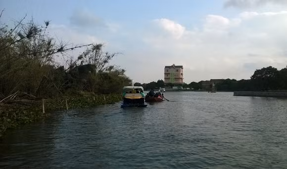 Những cánh cò "hớp hồn" du khách ảnh 11