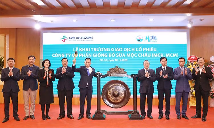 Tổng Giám đốc công ty Mộc Châu Milk thực hiện nghi thức đánh cồng, chính thức khai trương giao dịch cổ phiếu MCM trên sàn UPCOM