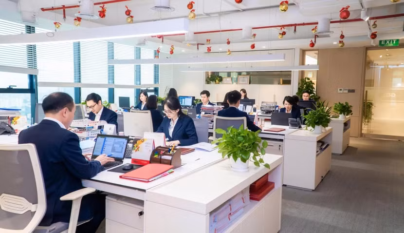 GELEX xây dựng thành một tổ chức hiệu suất cao và thích ứng.