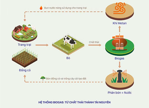 Sơ đồ về hệ thống Biogas tại các trang trại bò sữa Vinamilk, giúp biến chất thải thành tài nguyên
