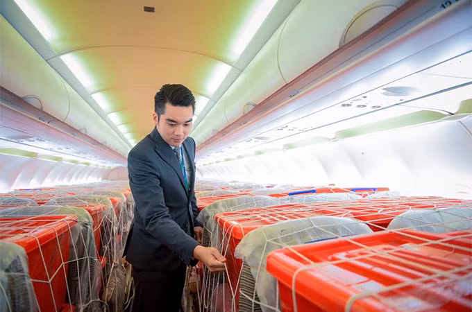 Bamboo Airways khẩn trương ưu tiên chuẩn bị cho chuyến bay, cũng như điều động các cán bộ dạn dày kinh nghiệm để phục vụ chuyến bay