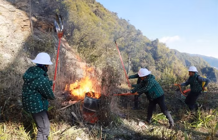 Diễn tập PCCC tại rừng Hoàng Liên