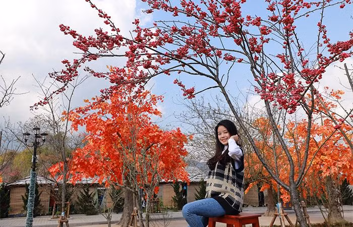 Ngất ngây trong sắc hồng của anh đào Himalaya, anh đào Nhật Bản và đào rừng Hoàng Liên Sơn, và đắm chìm giữa khung cảnh lung linh, rực rỡ của muôn loài hoa xuân Tây Bắc và những đại cảnh, tiểu cảnh kết tạo bằng hoa tuyệt đẹp, du xuân Sun World Fansipan Legend là ôm trọn cả một trời xuân rực rỡ vào lòng.